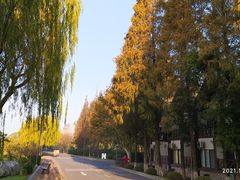 -太阳岛度假酒店