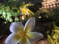 -亚龙湾希尔顿自助餐厅·海鲜·烧烤·沙滩BBQ·现场乐队