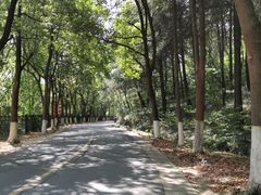 -镇江市南山风景名胜区竹林景区