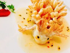 精灵松鼠桂鱼-海味观(老西门店)
