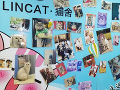 -lincat·猫舍(广州店)