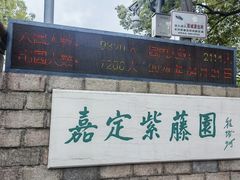 -嘉定紫藤园