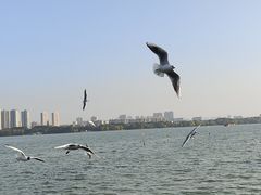 -蠡湖大桥公园