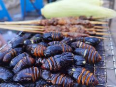 -北方图书城(滑翔店)