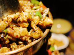 -蛙麻蛙辣炭火蛙锅(南环大街店)