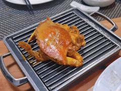 -菊上日式料理(蚌埠银泰店)