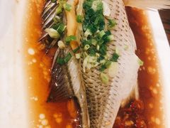 清蒸黄翅鱼-全渔村小海鲜