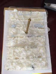 -馨月汇·独栋月子会所(静安店)