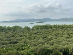 -盐洲岛