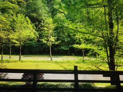 -青城山