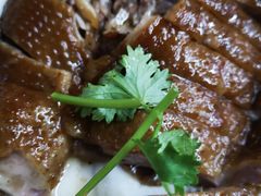 -乌文新澄海卤鹅店