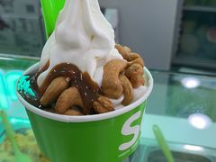 -Salud撒露欧洲冻酸奶(五道口购物中心店)