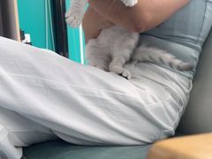 -博特宠物医院24h犬猫全科.骨科·异宠