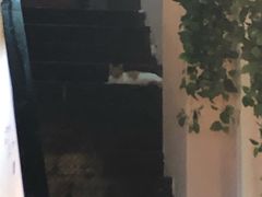 -意成料理