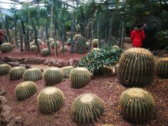 -呀路古热带植物园
