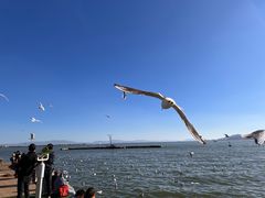 -滇池海埂公园