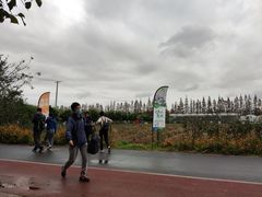 -上海长兴岛郊野公园