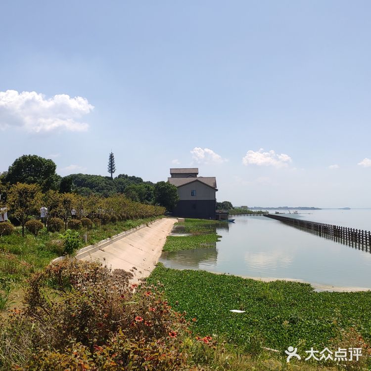 探店梁子湖龙湾度假村|小马代不是谁都可以叫的