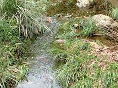 -黄公望隐居地