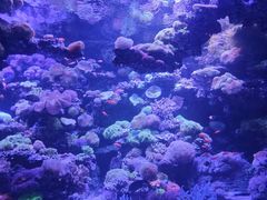 -太平洋海底世界