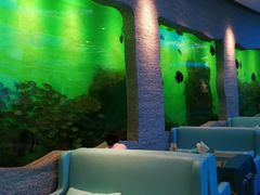 大堂-瑞德姆美人鱼海底演艺主题餐厅(亚龙湾店)