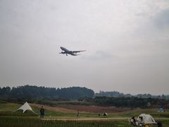 -空港花田景区