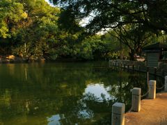 -人民公园(罗湖区)