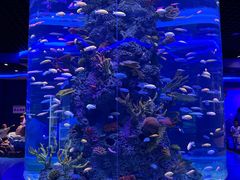-石家庄极地海洋世界