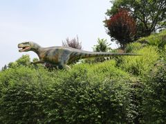 -自贡恐龙博物馆