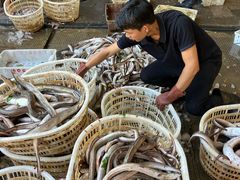 -中国舟山国际水产城