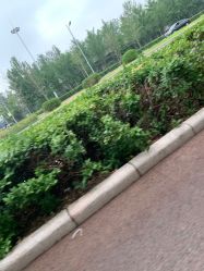 -HEYAN长风荷妍专业脱毛美肤

