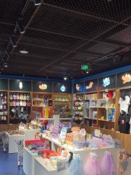 -飞览天下沉浸式飞行体验(北京旗舰店)