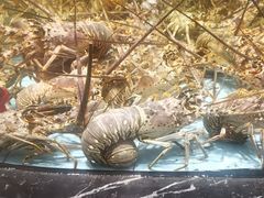 -食鼎记海鲜大排档(美食街店)