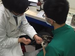 -芭比堂动物医院(广州爱宠下渡路分院)