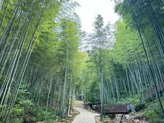 -紫藤园·天目湖大鱼头(南山竹海店)