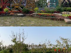 -上海长兴岛郊野公园