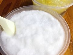 椰汁海石花-南街清补凉(黄贝岭店)