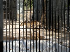 -广东茂名森林公园