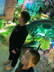 -恐龙探索乐园(磁器口店)