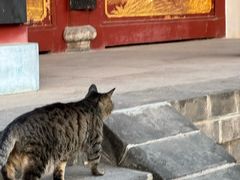 -长春观