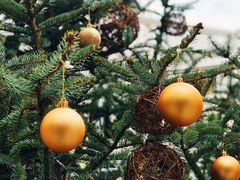 景观位-RAC BAR(安福路店)