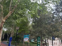 -石刻园