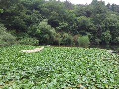 -天目湖山水园