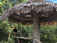 -上海野生动物园