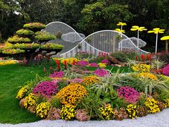 -上海共青森林公园