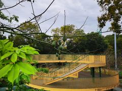 -人民公园(罗湖区)