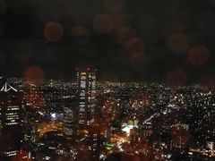 -东京都厅舍