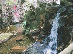 -牛鱼嘴原始生态风景区-停车场