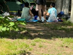 -长白岛森林公园