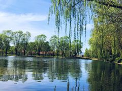 -石家庄市植物园